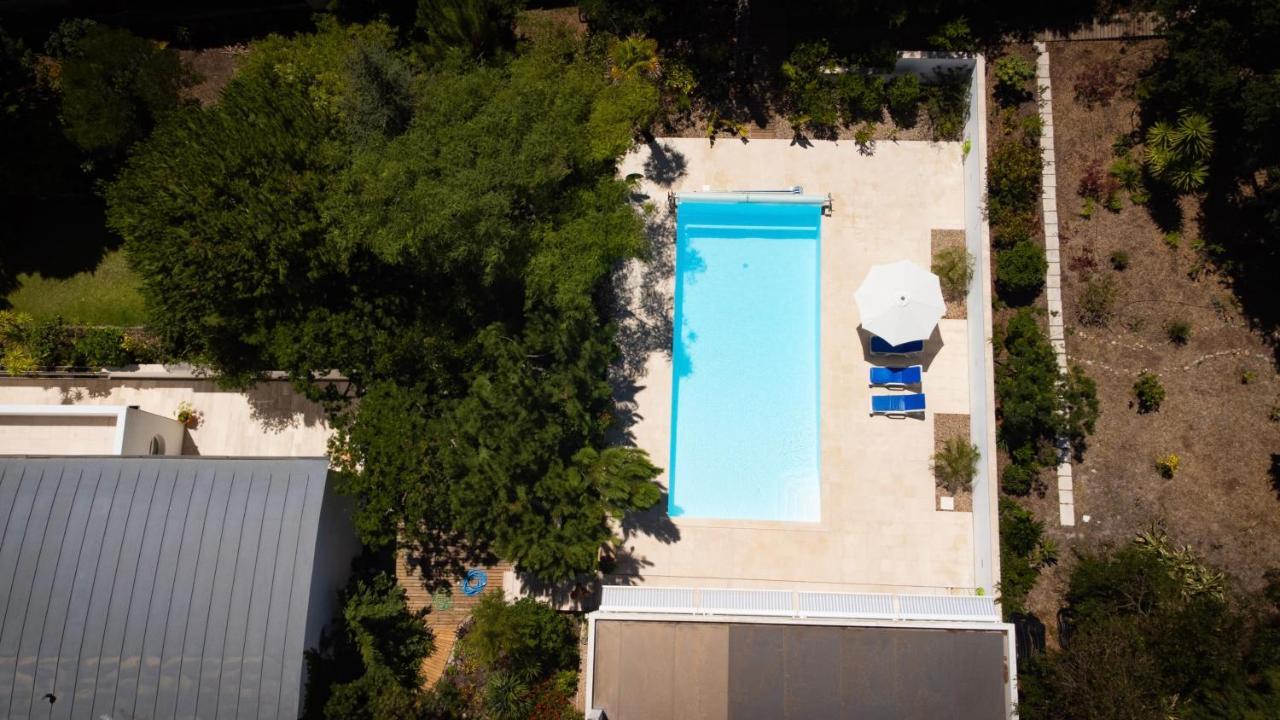 Edles Apartment In Architektenvilla Mit Grossem Pool, Sauna, Dachterrasse Und Malerischem Garten Pataias Bagian luar foto